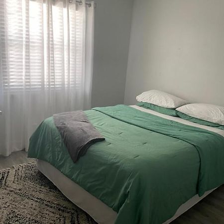 Modern Townhome Tampa Luaran gambar